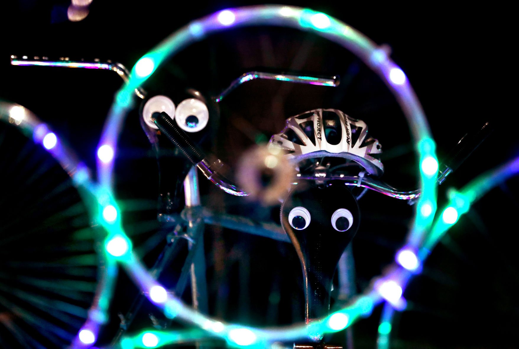 WInterhaven Festival of Lights